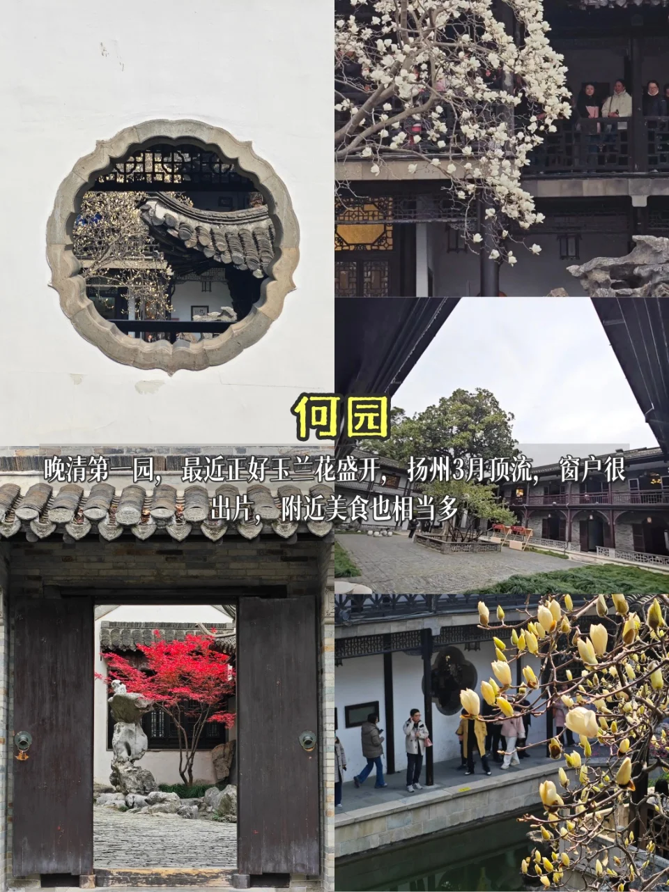 扬州旅游大骗局已说五一再踩坑就是你的问题