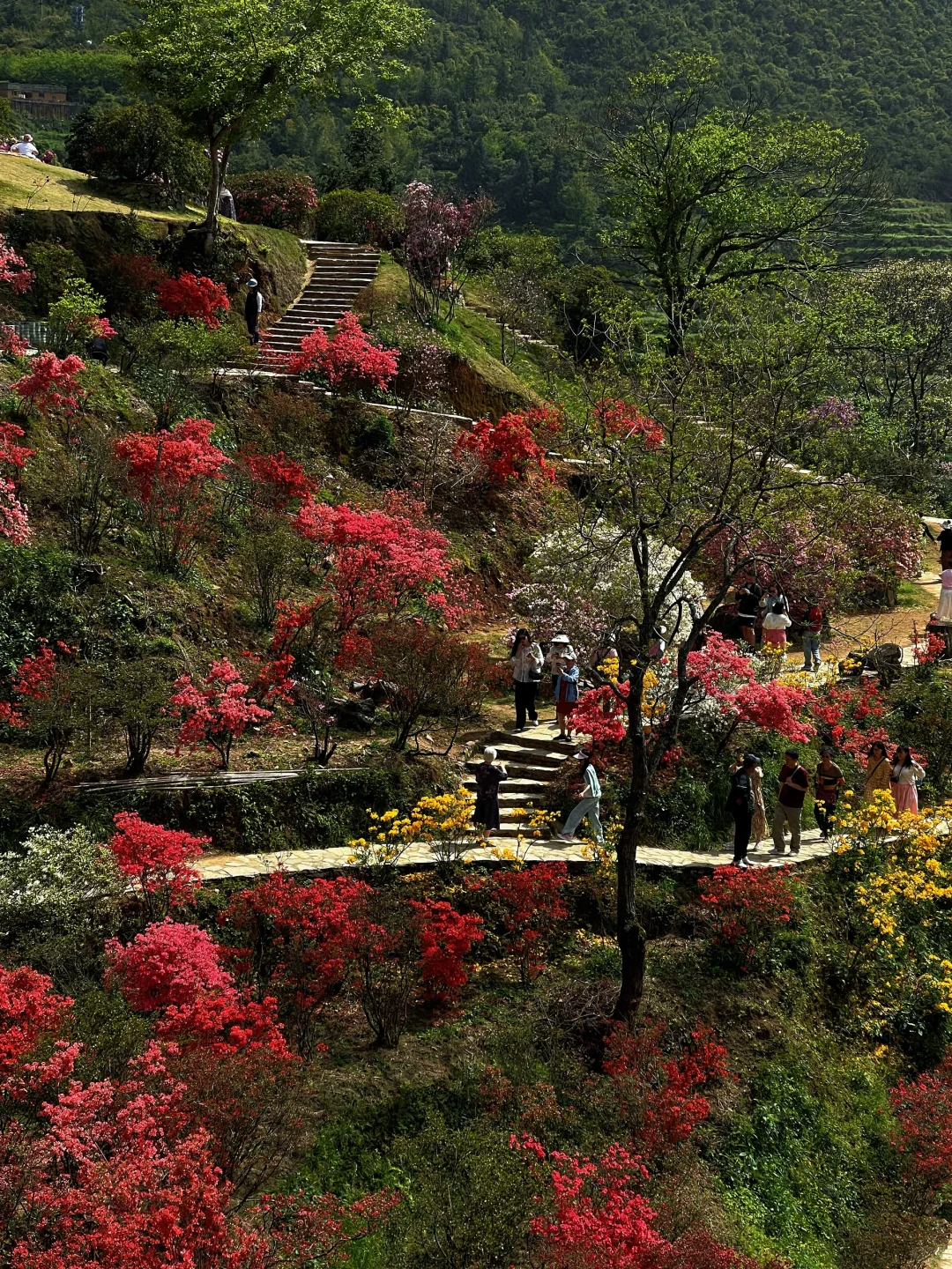 江西婺源📍一定要准备一双好腿和舒服的鞋子