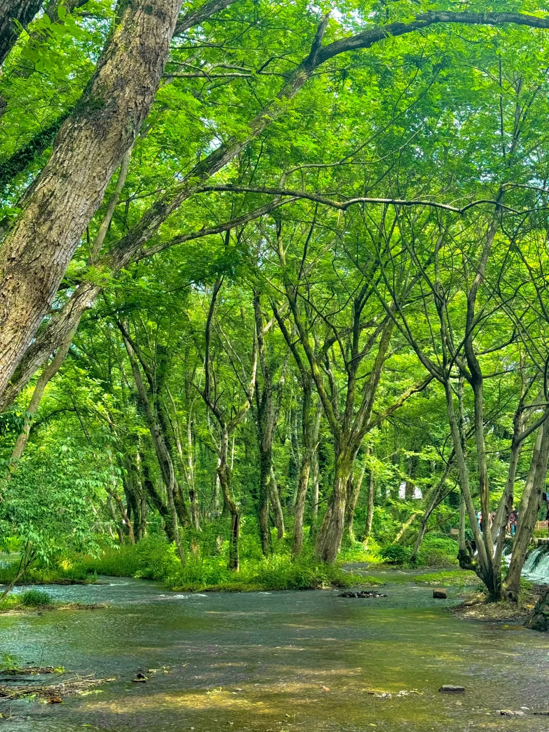 以为宏村够美了，直到我去了这里…