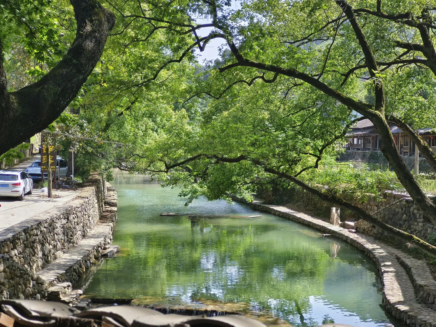 五一旅行人太多❓