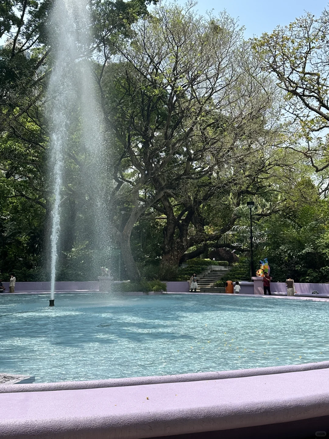 🇭🇰香港旅游不走回头路打卡最佳路线攻略!