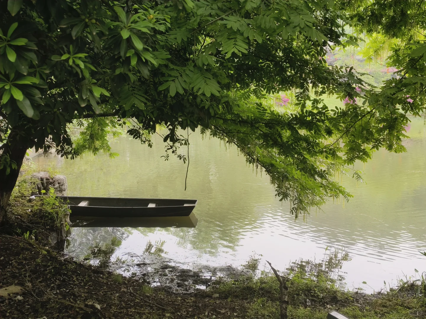 五一旅行人太多❓
