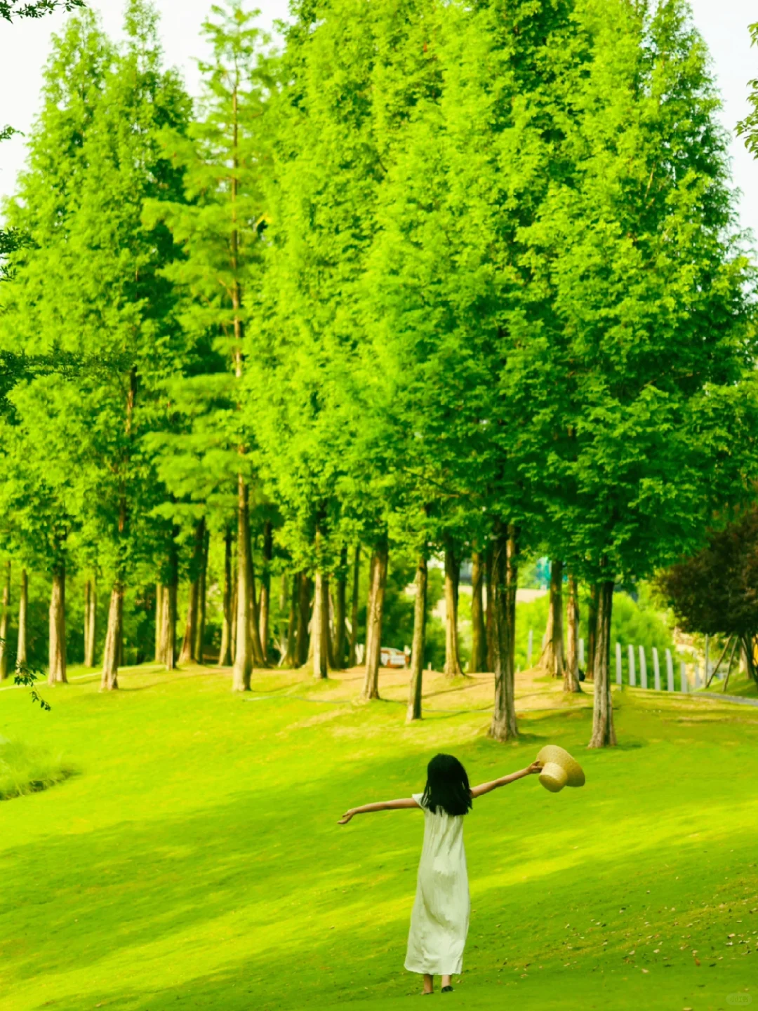 不是新西兰是成都!地铁直达现实版漫画岛!