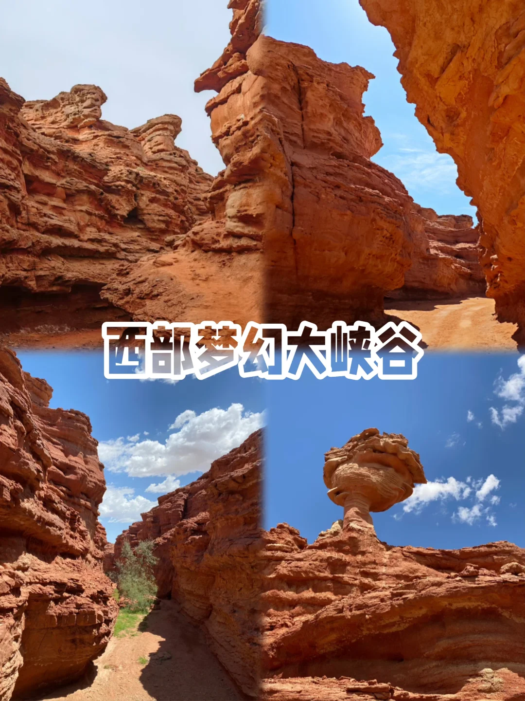 没看过《乌海》🎬但你一定要来趟乌海❗️