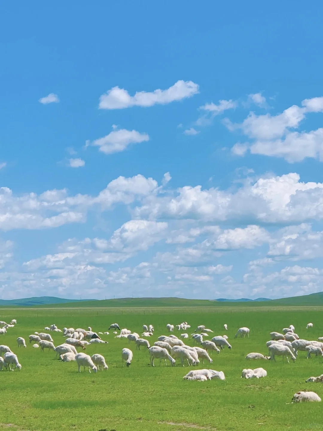 内蒙古必去九大景点✅