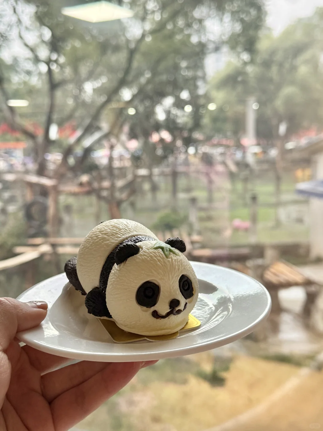 4.25📍重庆已回。。还没来的赶紧改行程！！