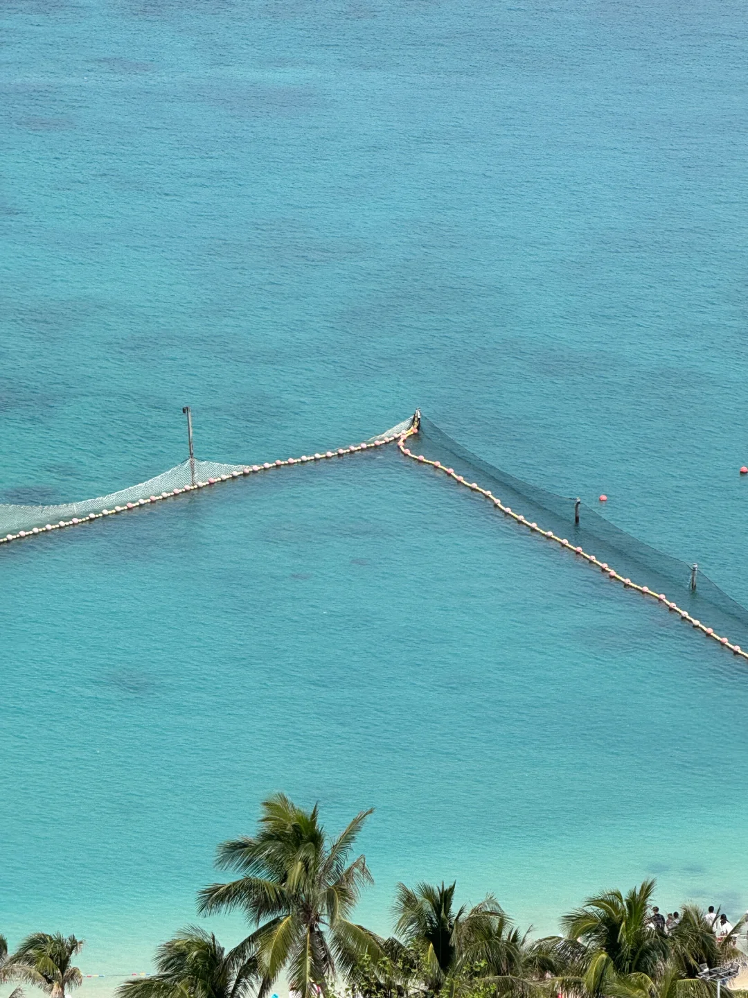 陵水5天4晚保姆级攻略，喂猴赶海🦀逛夜市