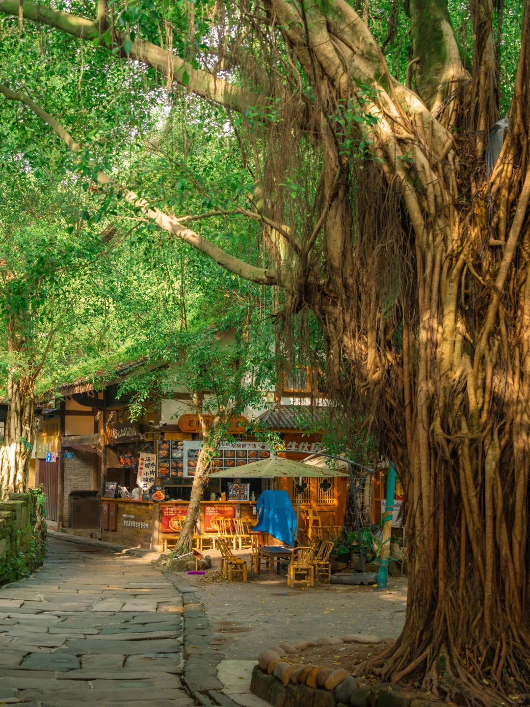 来重庆不要只去洪崖洞，很推荐这个小众古村