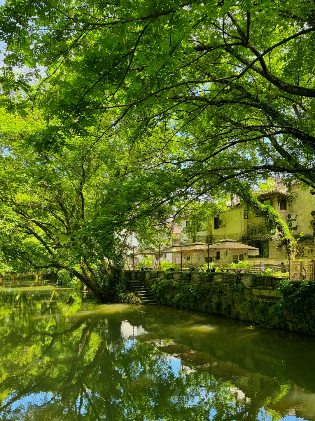 以为宏村够美了，直到我去了这里…