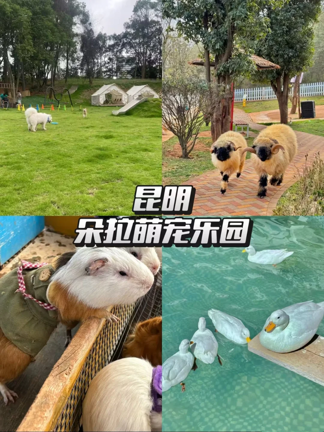 Deepseek推荐五一最适合遛娃的小众宝藏地！