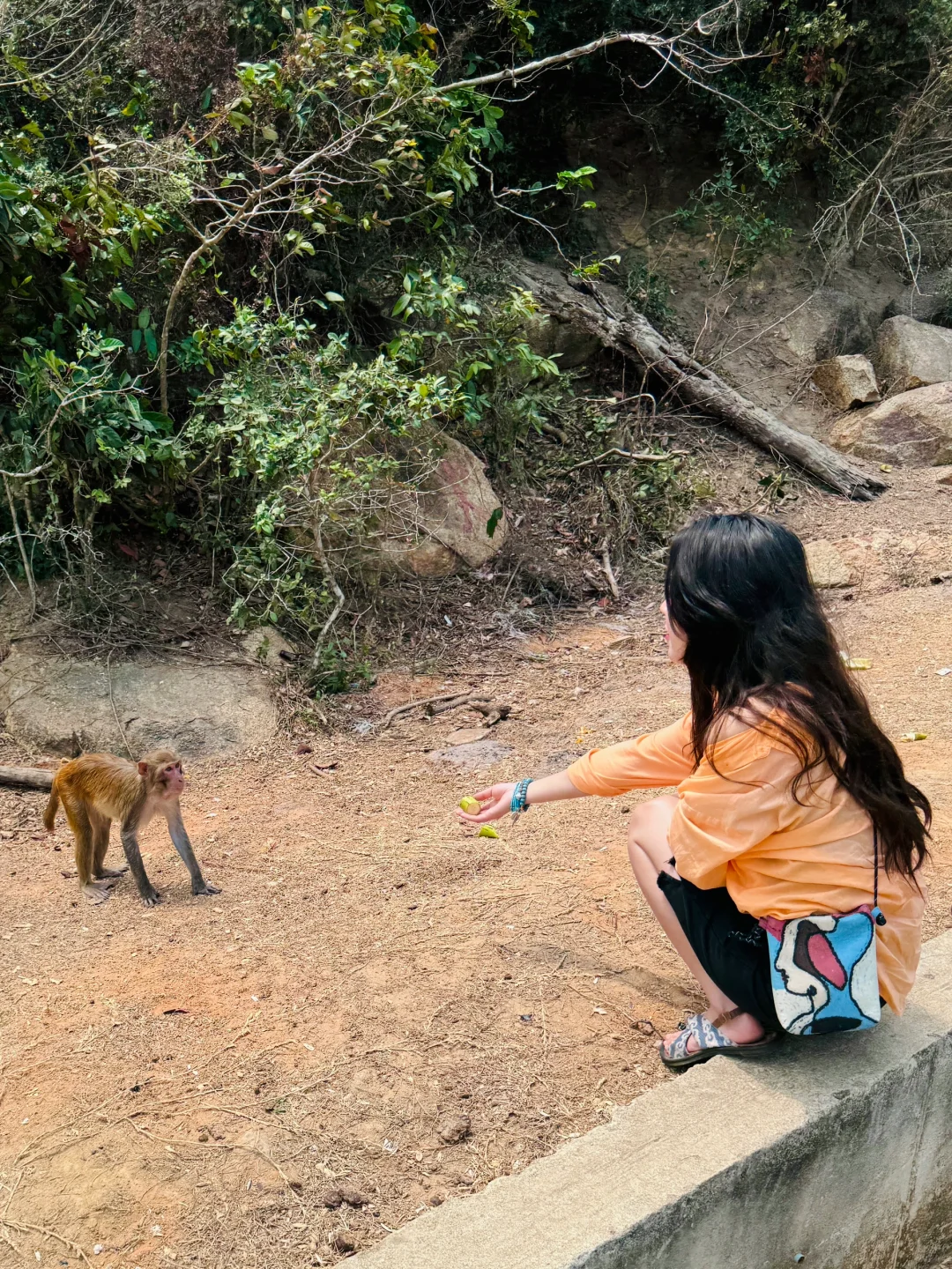 陵水5天4晚保姆级攻略，喂猴赶海🦀逛夜市