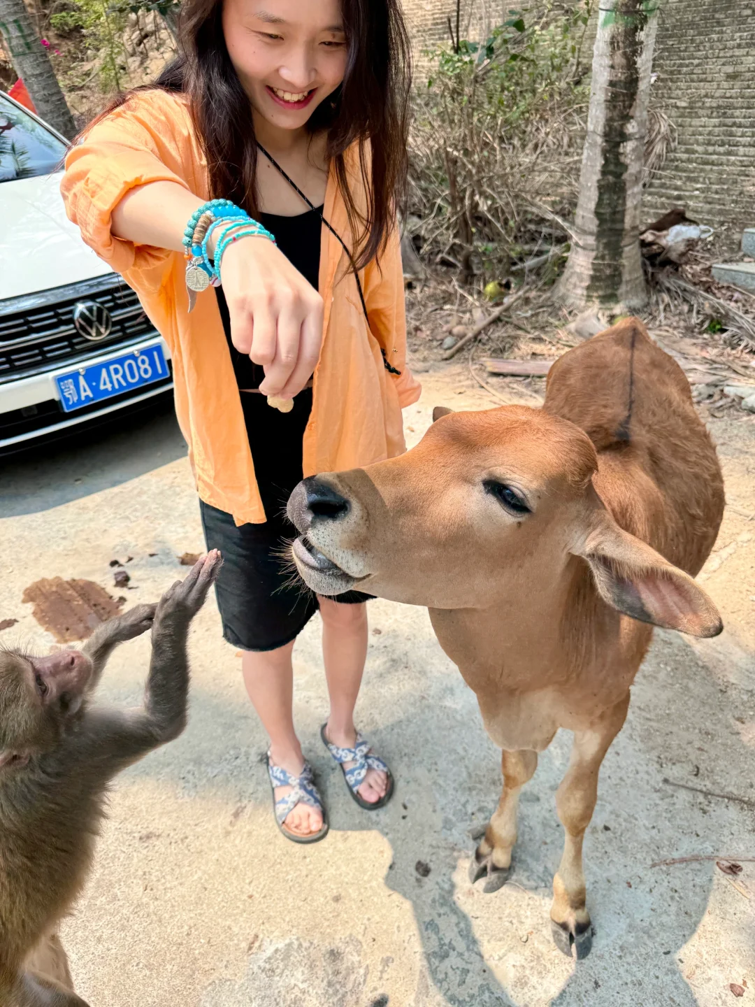 陵水5天4晚保姆级攻略，喂猴赶海🦀逛夜市