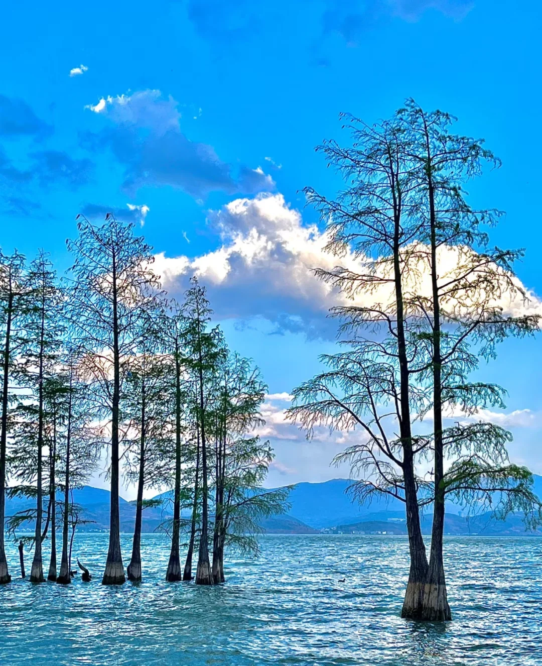 04女大📍大理三日游不走回头路线攻略❗️