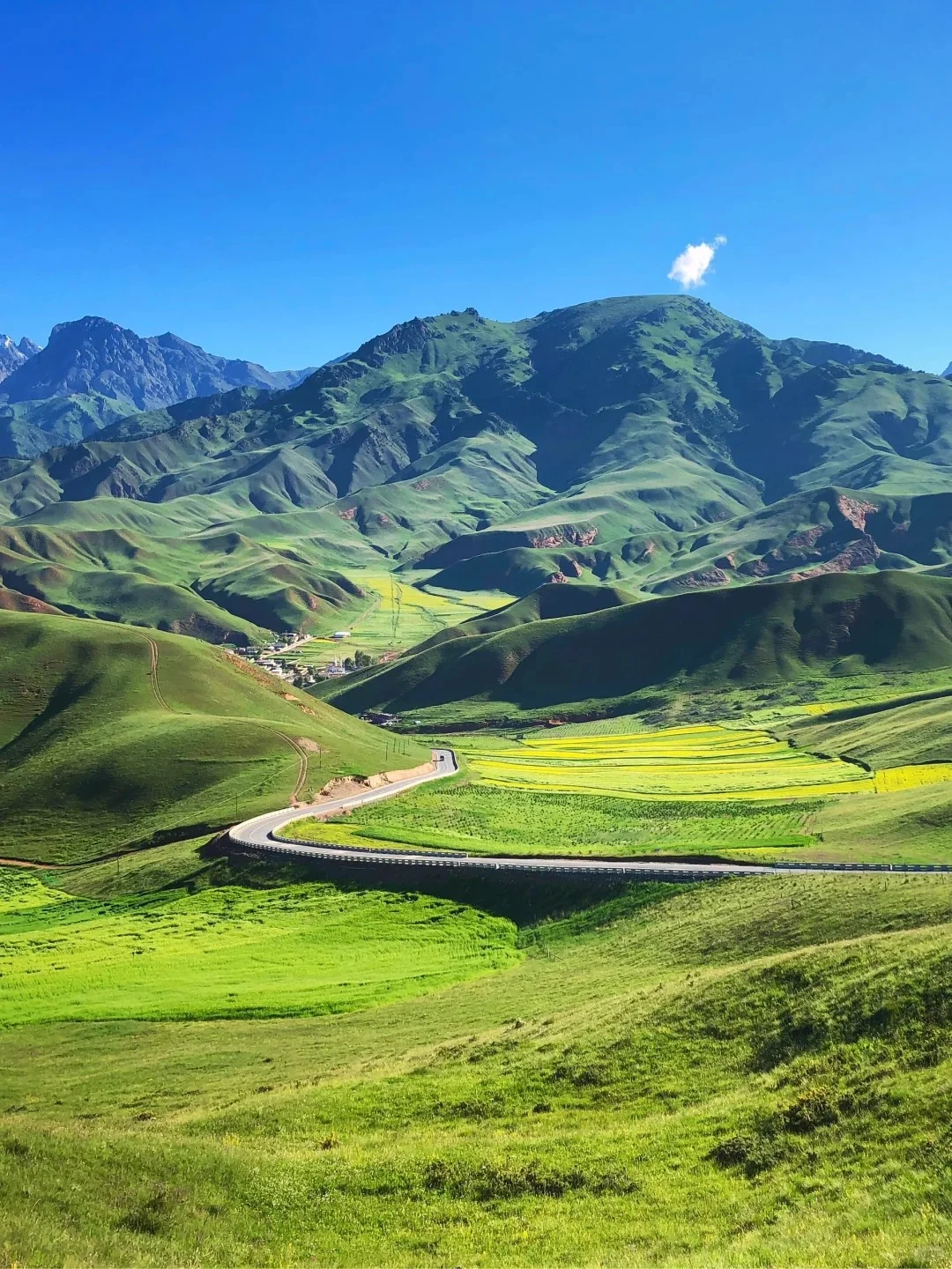 🌳比阿勒泰便宜五倍被青海低估的小众地方