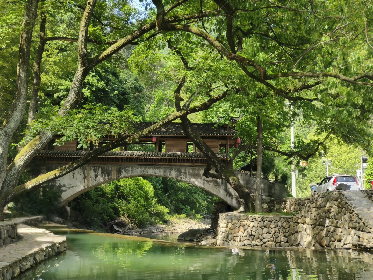 五一旅行人太多❓