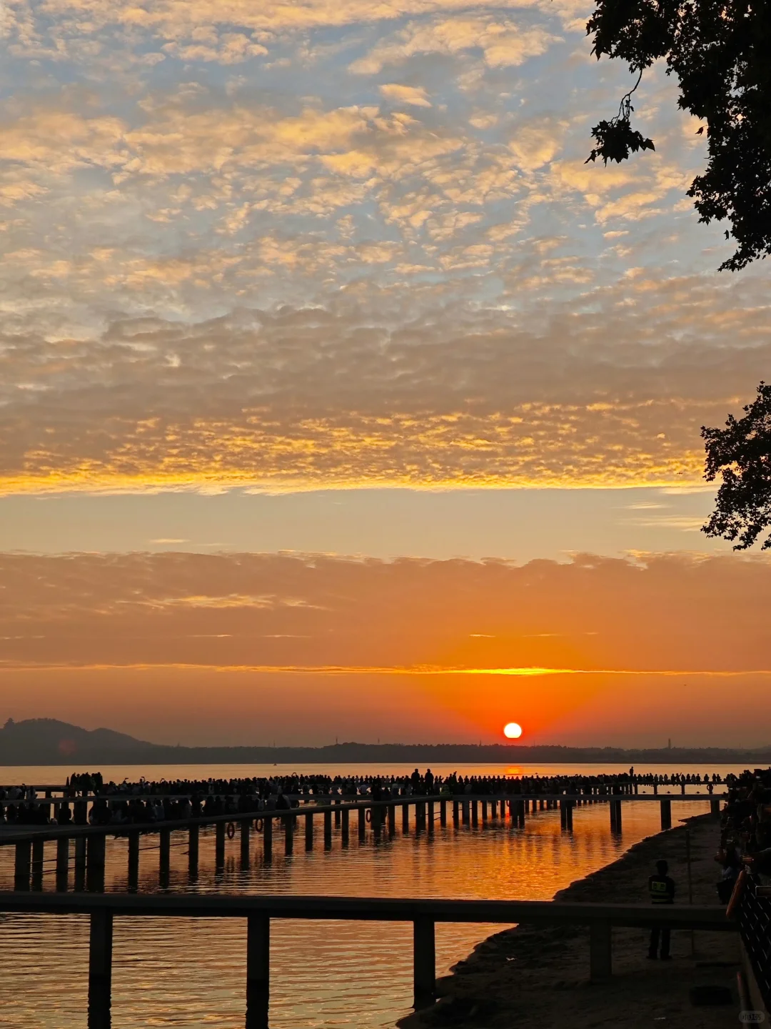 4.20📍武汉现状。。三日游真实反馈（五一劝退