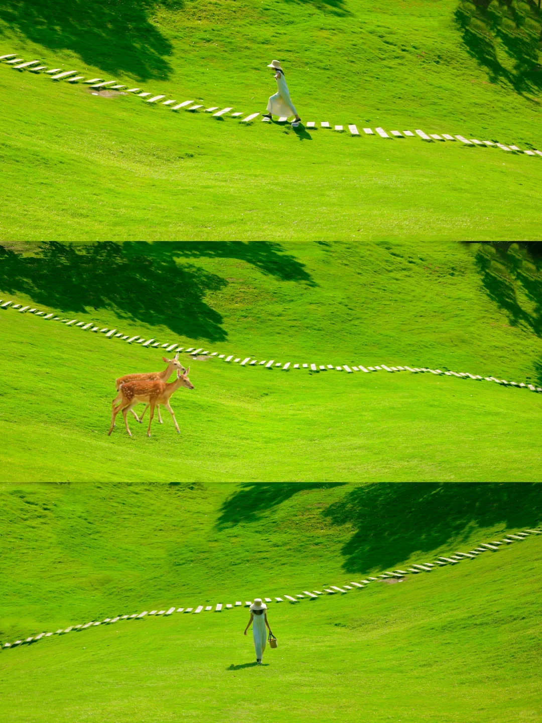 不是新西兰是成都!地铁直达现实版漫画岛!