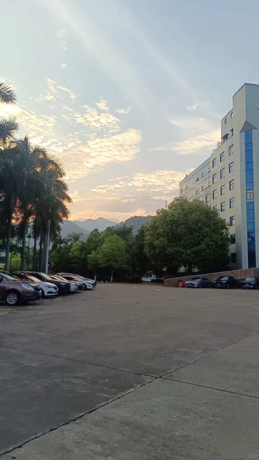 鼎湖山停车避雷攻略！别再瞎找停车场啦🚗