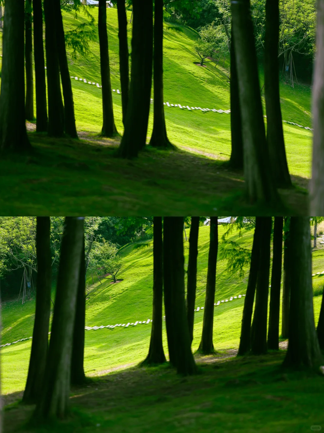 不是新西兰是成都!地铁直达现实版漫画岛!