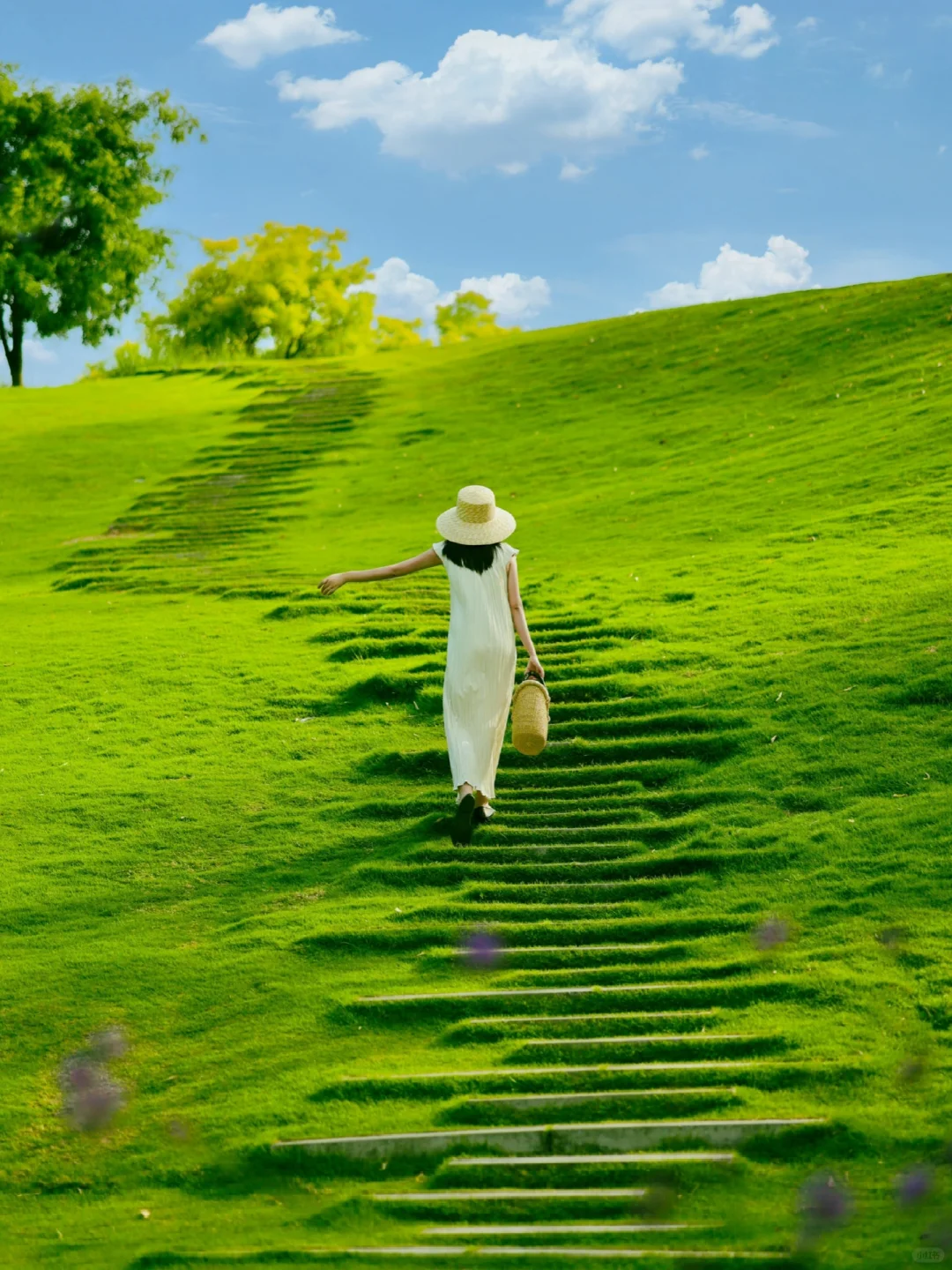 不是新西兰是成都!地铁直达现实版漫画岛!