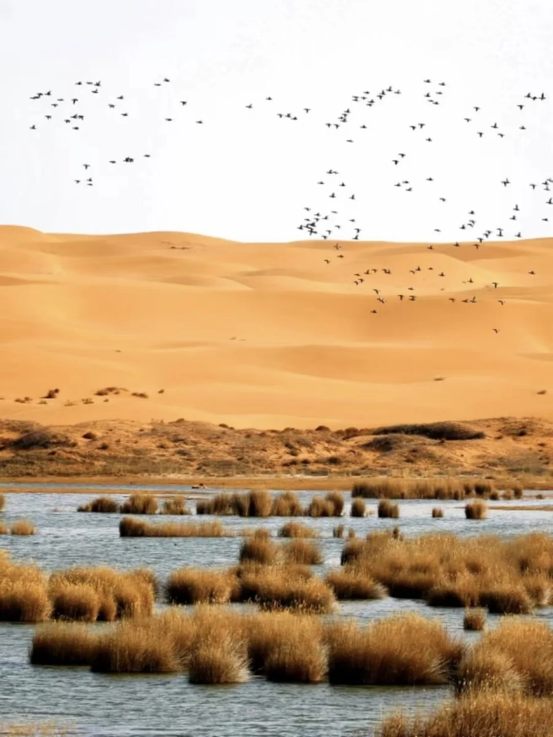 内蒙古必去九大景点✅