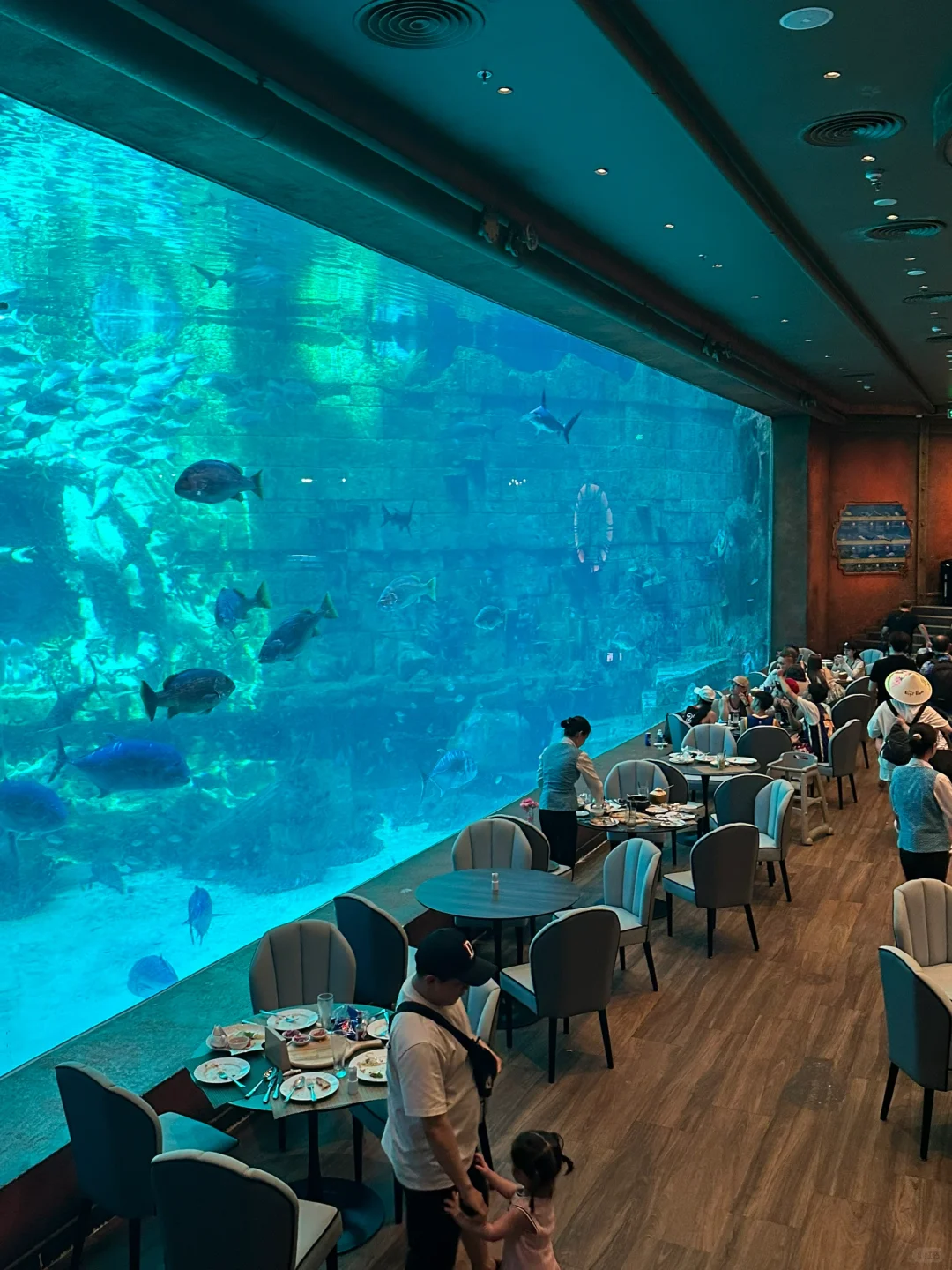 免签 富国岛⛱️小众度假海岛🇻🇳