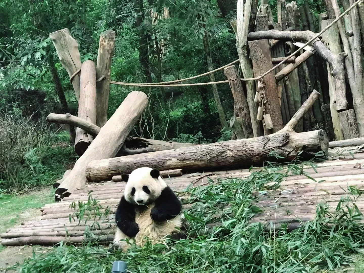 找一个长期旅游搭子，每个季度出行一次