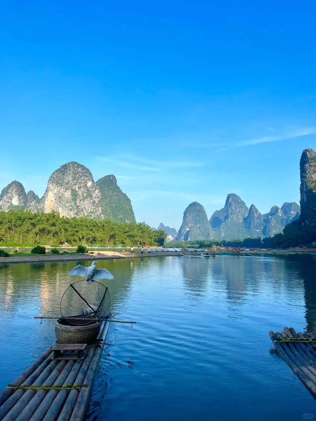 🌿 桂林漓江 | 在山水画里过一天的真实体验
