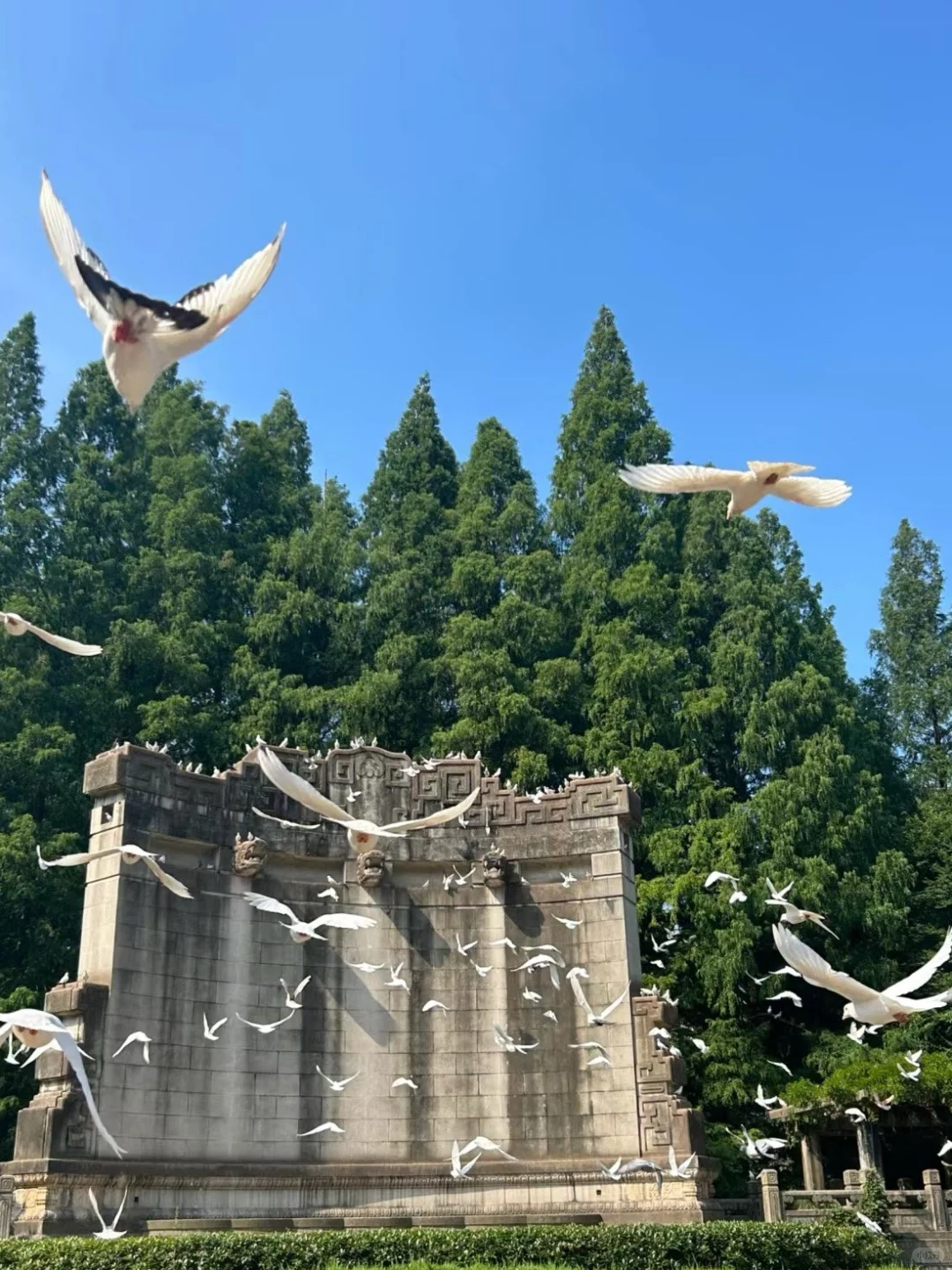 南京 你真的让我又爱又无语了