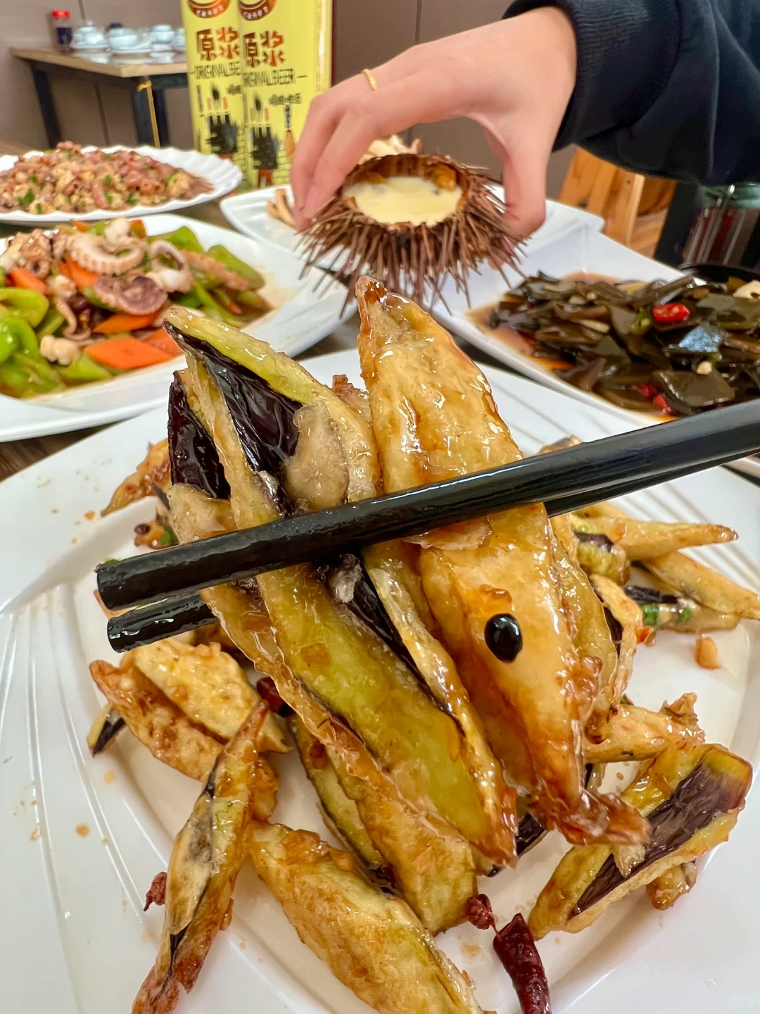 刚从蓬莱回来!说点大实话……😅😅