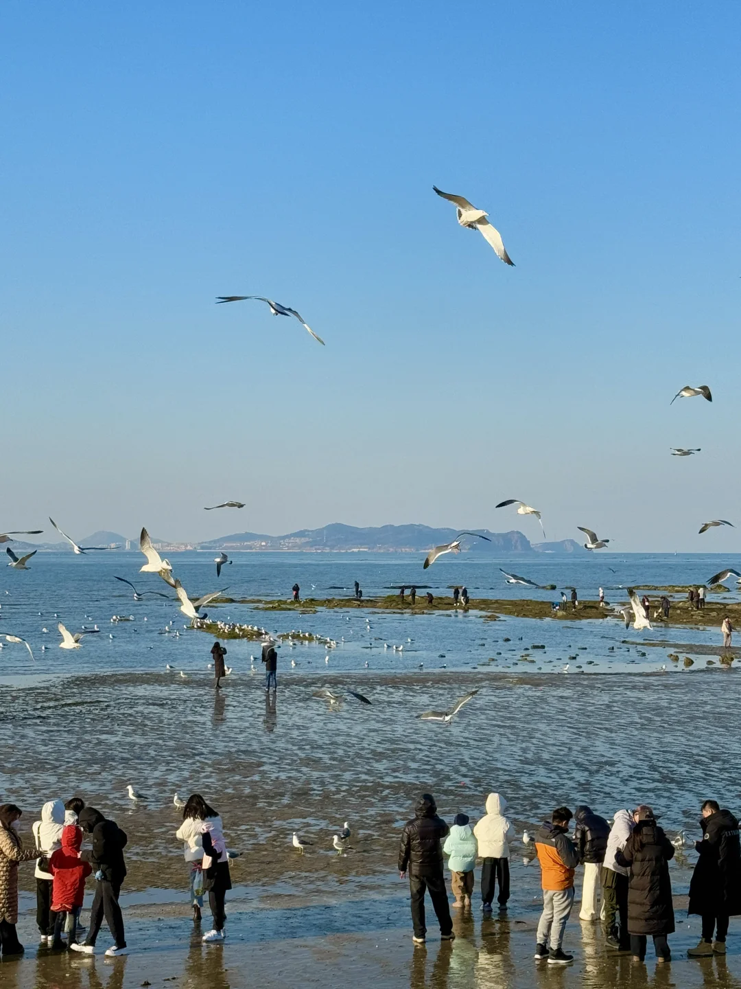 刚从蓬莱回来!说点大实话……😅😅