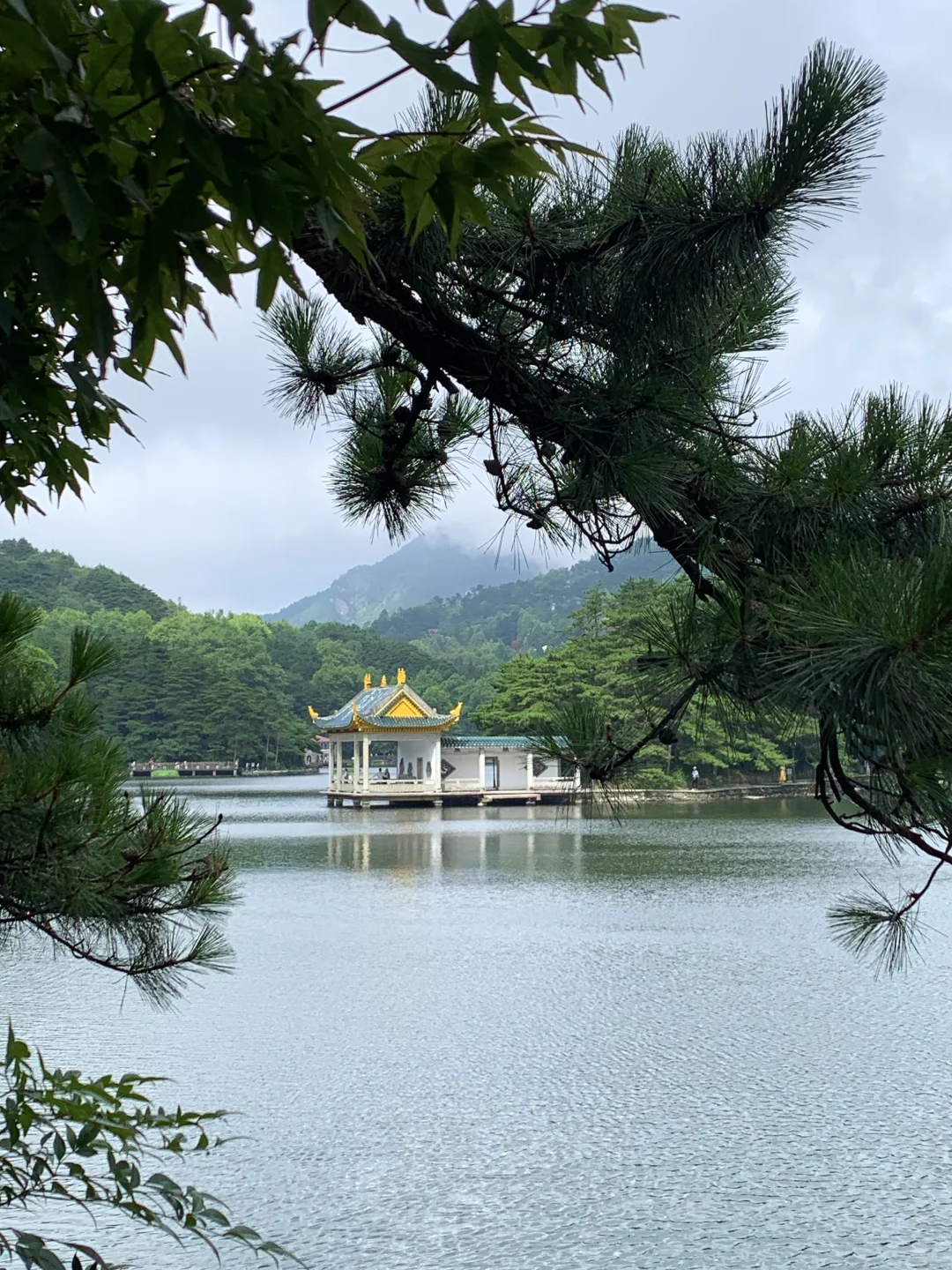 庐山已回！真诚提醒还未出行的姐妹..😭😭