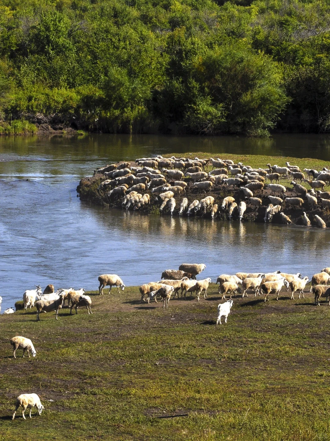 内蒙本地人私藏的5-6月旅游攻略!快码住!
