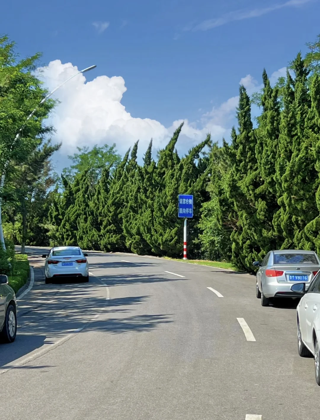 五一出行计划之养马岛!🌊