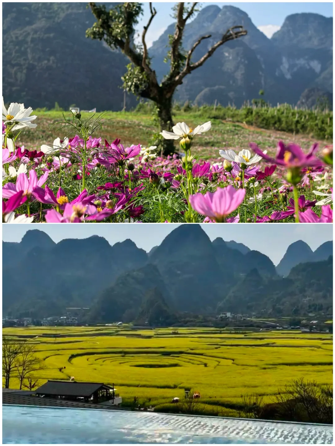 高铁直达!适合小住3天的小众城市攻略🚄