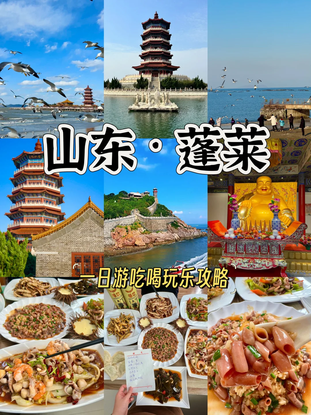 刚从蓬莱回来!说点大实话……😅😅