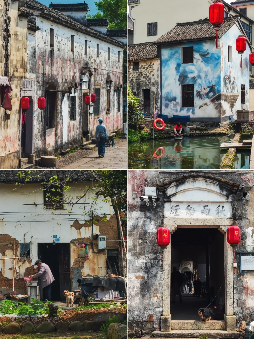 今年去过最冷门惊艳的地方，居然在我老家