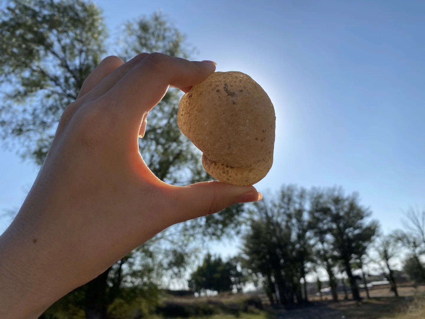 张家口阳原县捡玛瑙