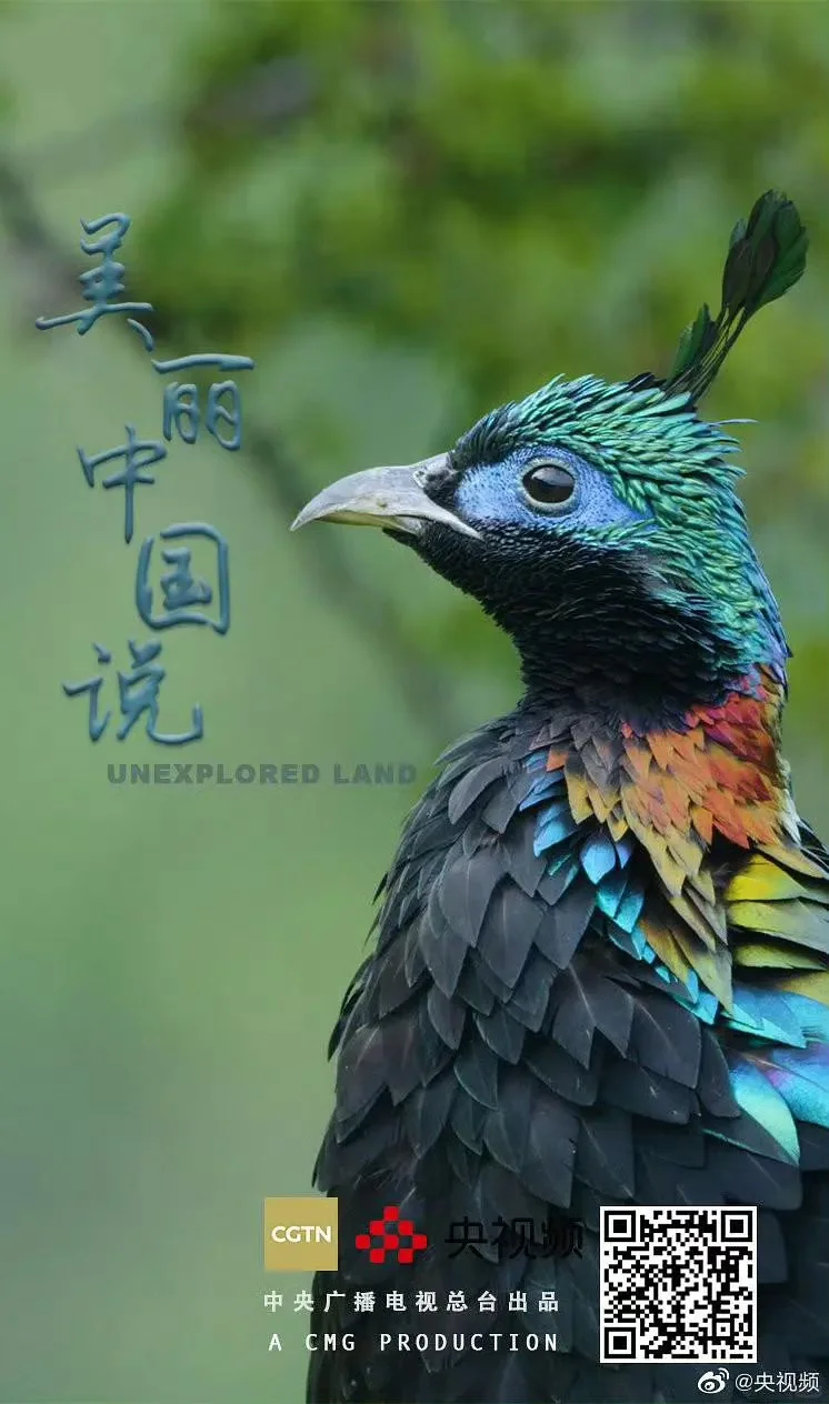 不知道五一去哪儿玩？九部纪录片告诉你