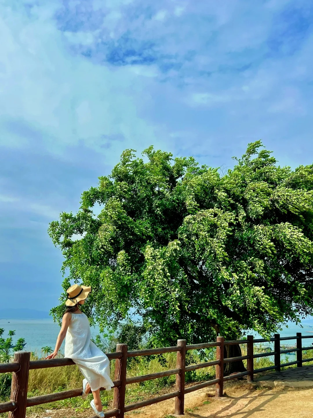 五一来广西建议直奔这座海滨小城🌊🌴附路线