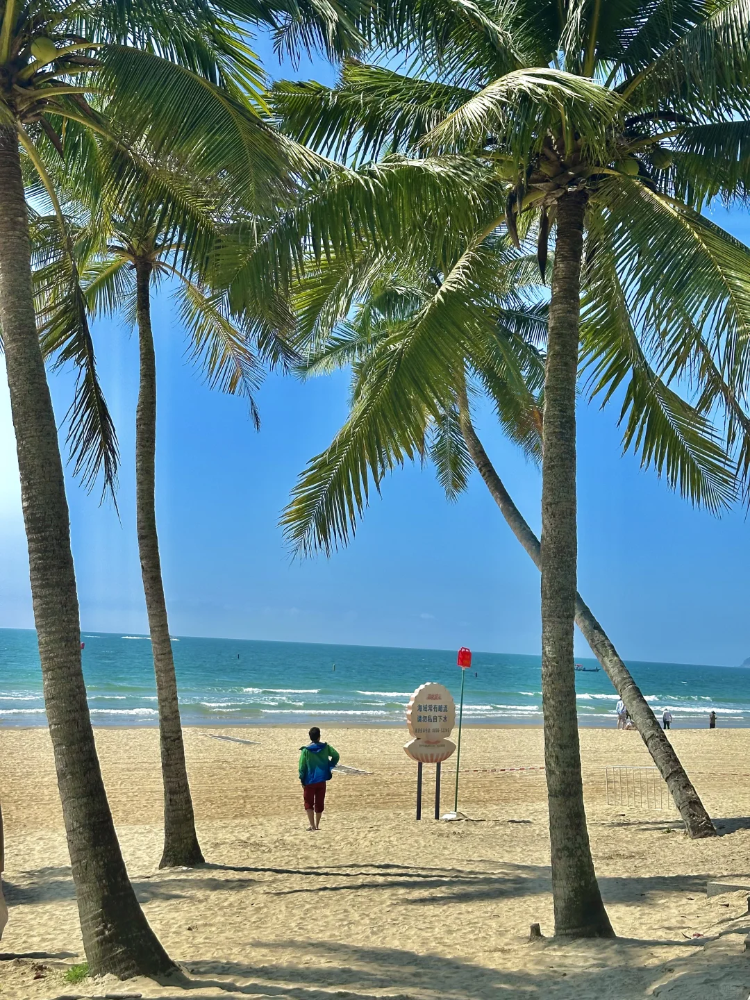 live🌊五一反向旅行，想安利1w次的海岛小城