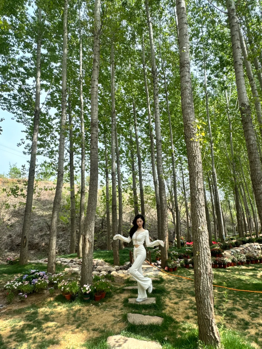 假期就去这!竟然有这么美的莫奈花园!💐