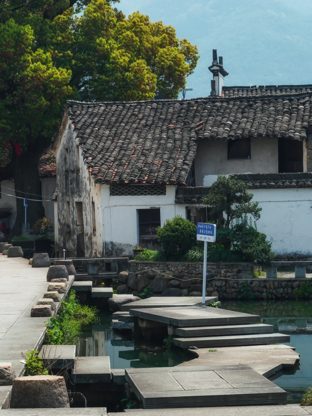 今年去过最冷门惊艳的地方，居然在我老家
