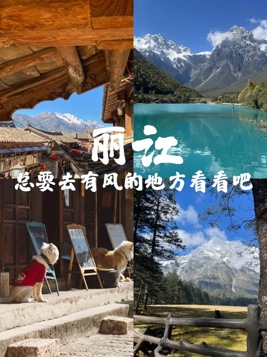 30岁前必打卡的✅旅游城市,一定要去看看