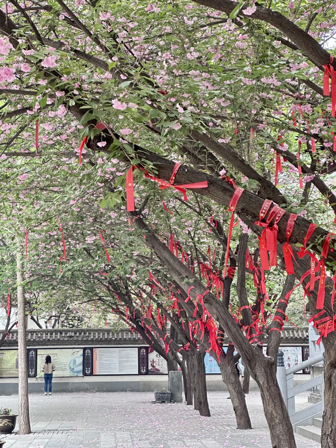 西安旅游攻略二