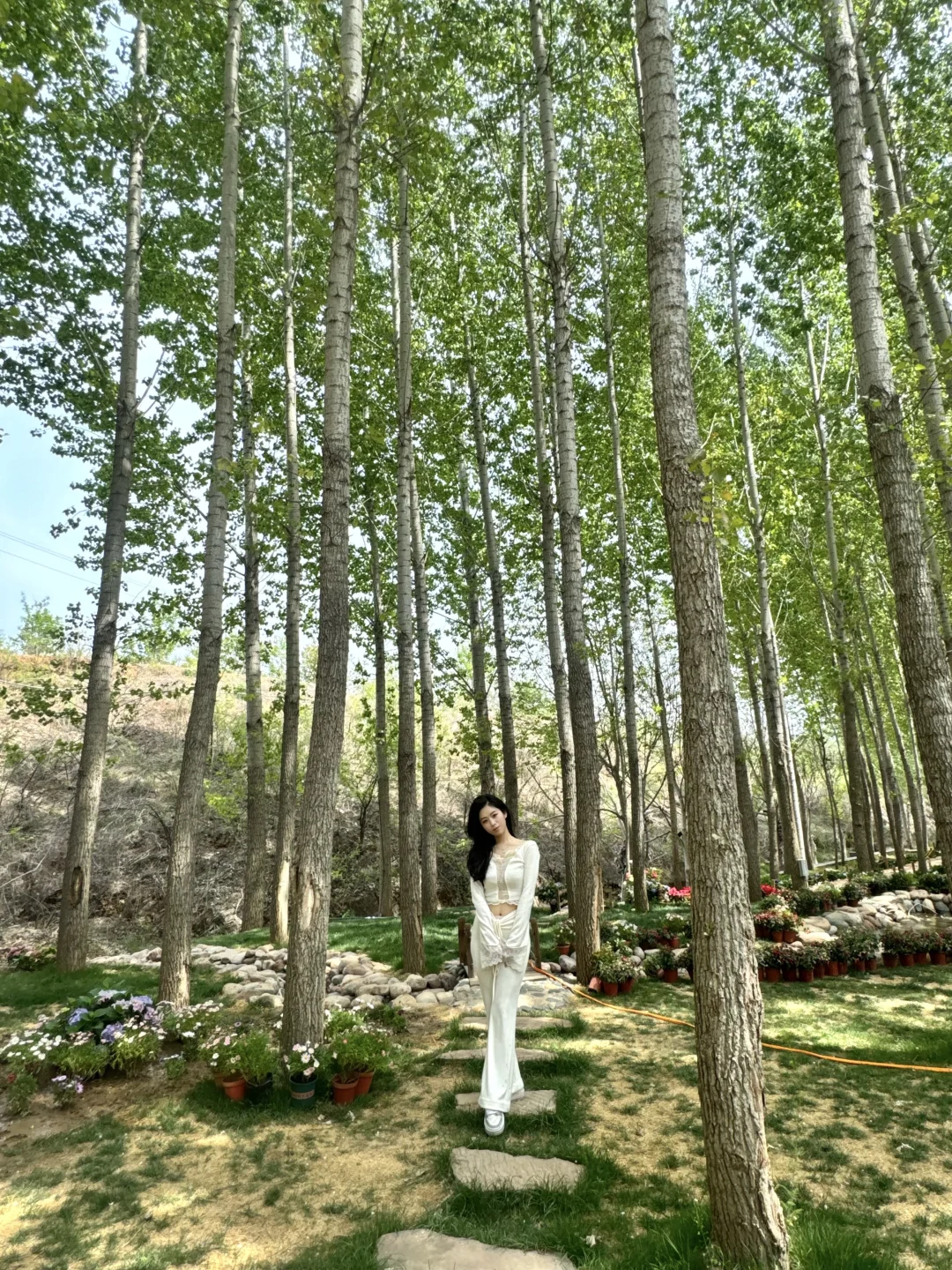 假期就去这!竟然有这么美的莫奈花园!💐