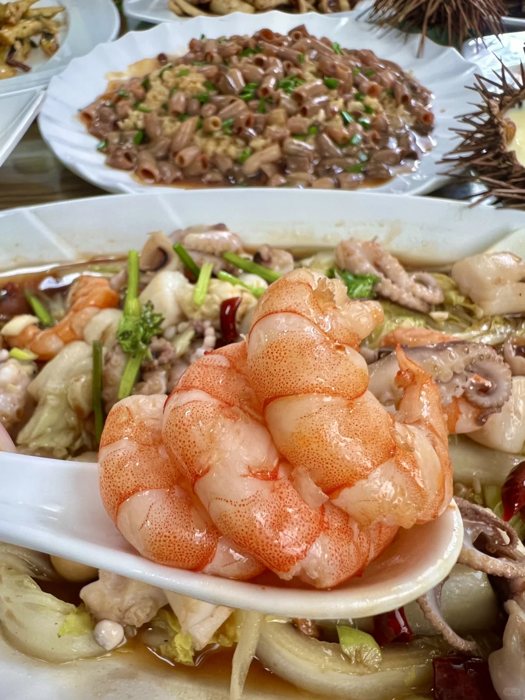 刚从蓬莱回来!说点大实话……😅😅