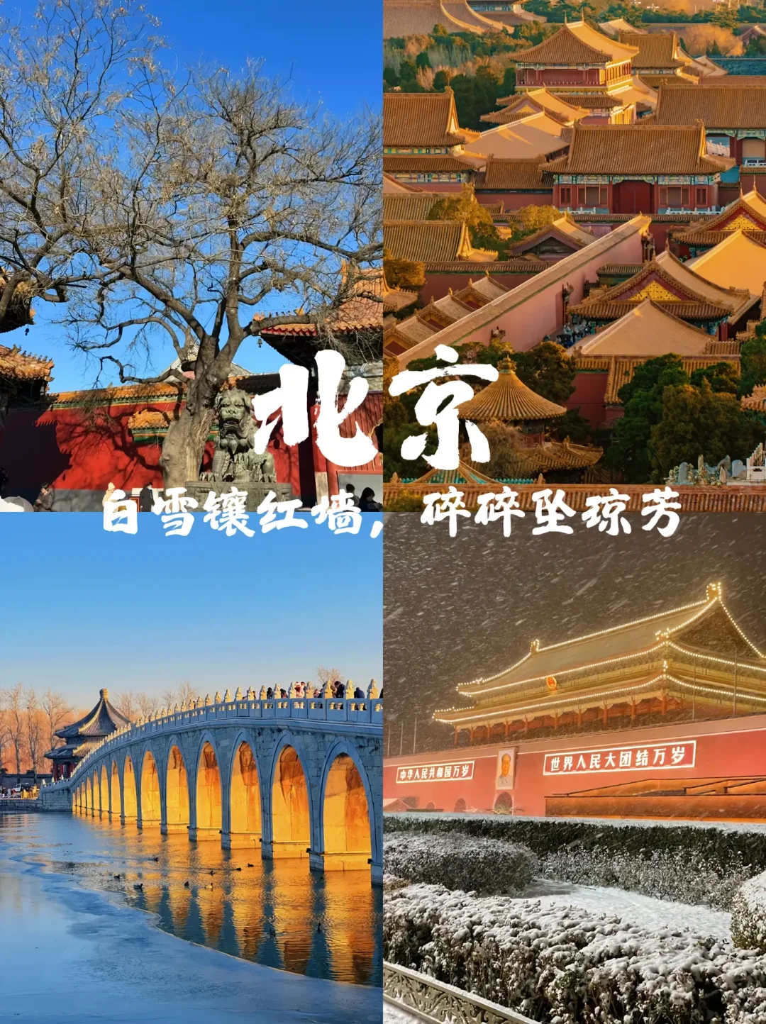 30岁前必打卡的✅旅游城市,一定要去看看