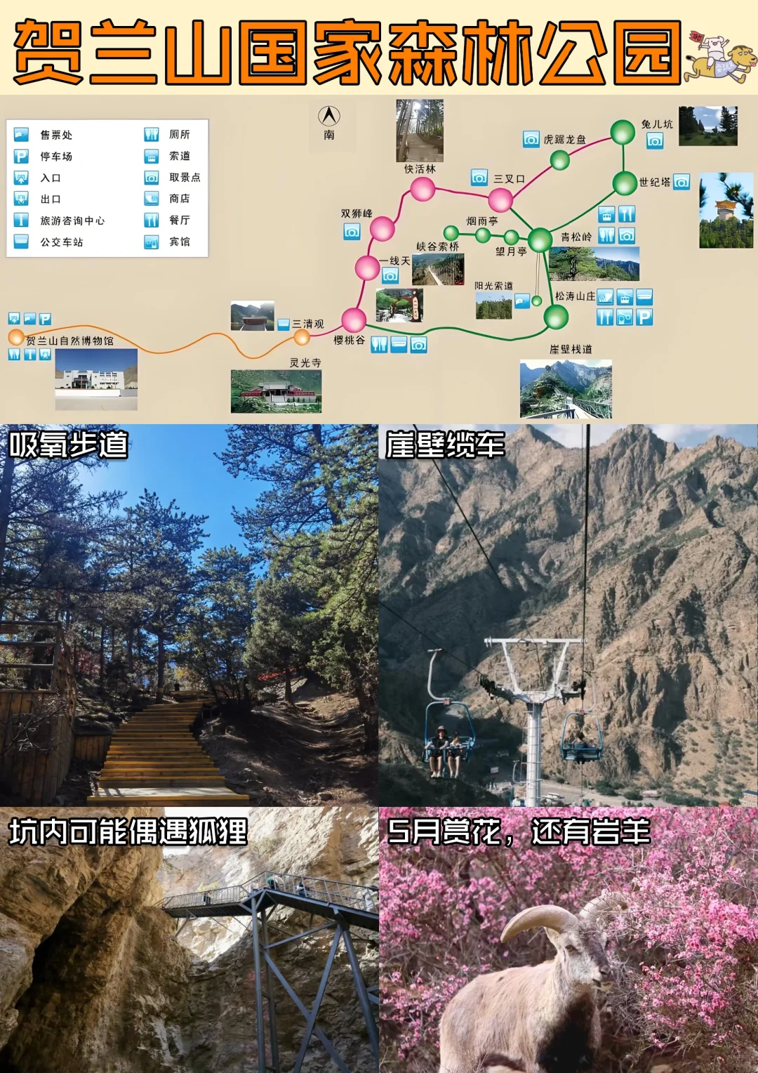 银川5️⃣天4️⃣夜旅游攻略（含景区地图）