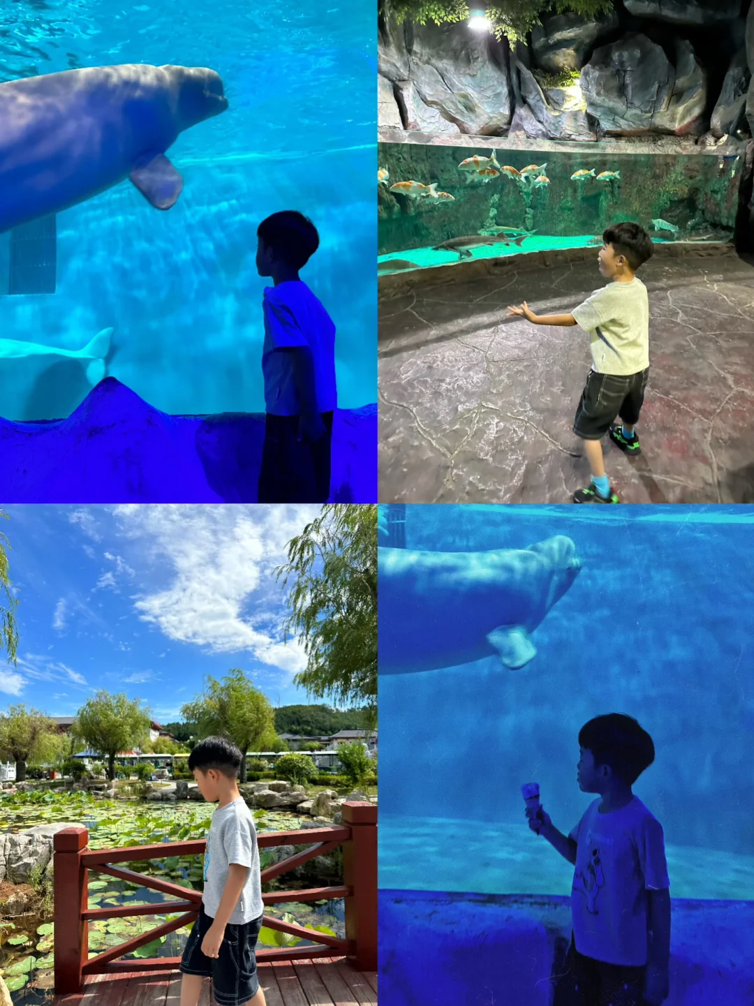 山东适合带孩子游玩(体验感好)的4个城市